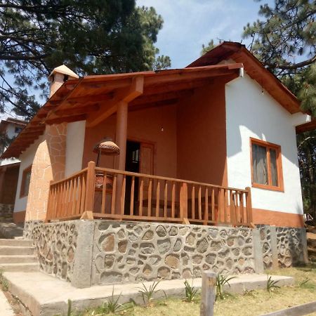 Cabanas Del Bosque Villa Mazamitla Eksteriør billede