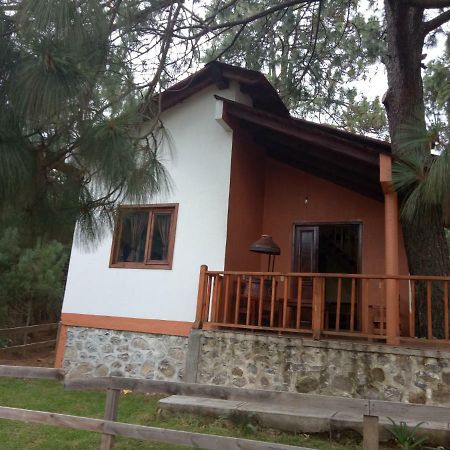 Cabanas Del Bosque Villa Mazamitla Eksteriør billede
