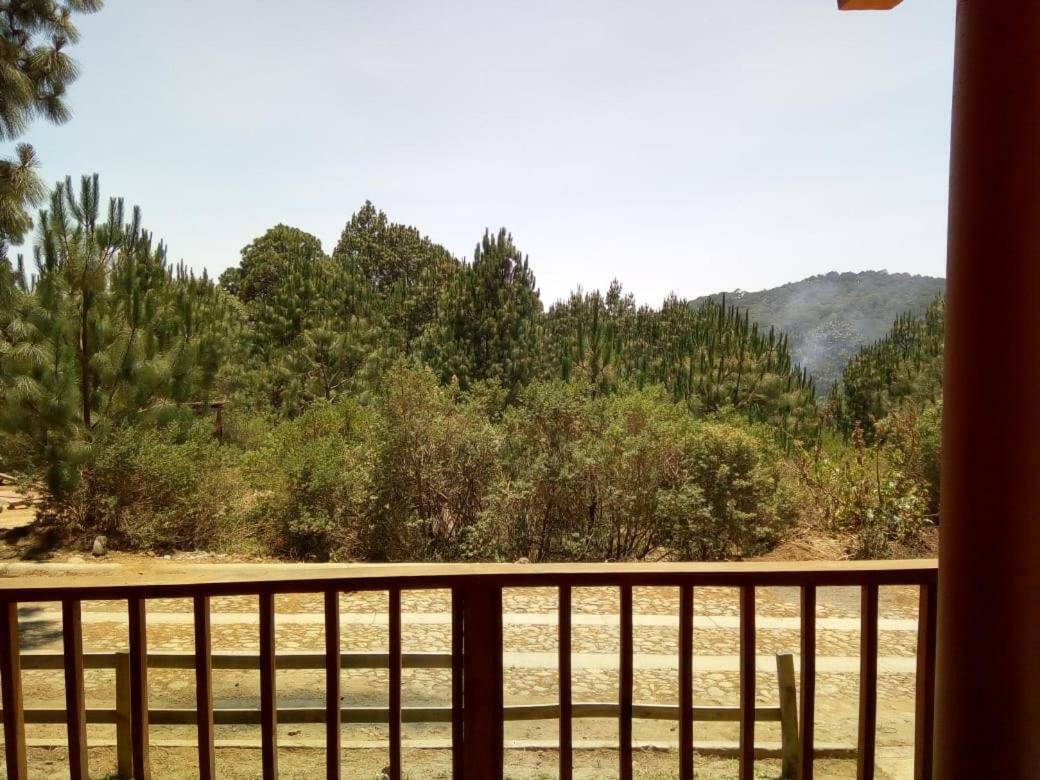 Cabanas Del Bosque Villa Mazamitla Eksteriør billede